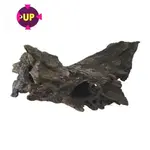 UP Aqua dutý kořen L