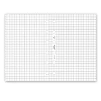 Poznámkový papír, čtverečkovaný, bílý - náplň kapesních diářů Filofax