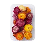 Dried Flowers