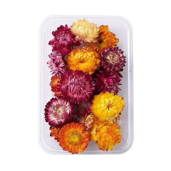 Dried Flowers