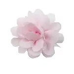 Lace Costume Accessories