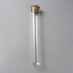 Transparent Glass Dome Cover