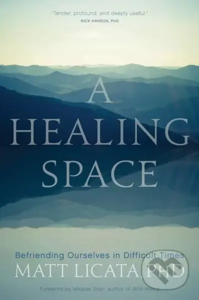 A Healing Space (Befriending Ourselves in Difficult Times) - Matt Licata