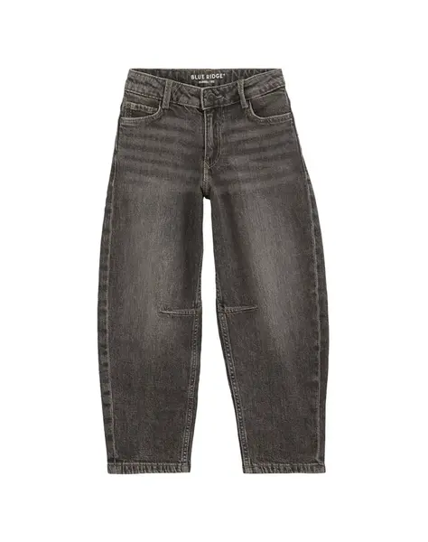 WE Fashion Džínsy  tmavosivá