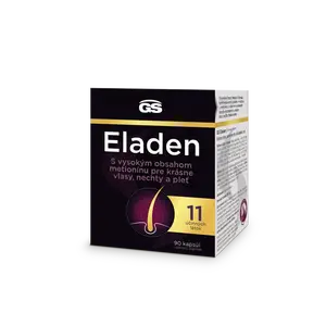 GS Eladen