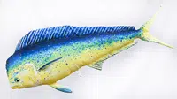 Gaby polštář Zlak nachový 112cm