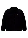 LACOSTE Zimná bunda  čierna