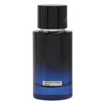 REVOLUTION Man Intense Toaletní voda 100 ml