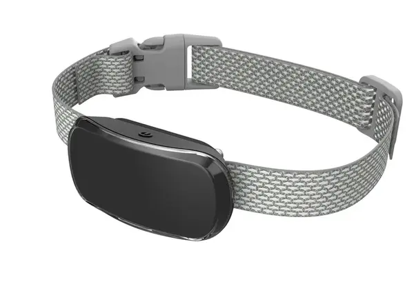 Reedog TC-005 | Protištěkací obojek - černá