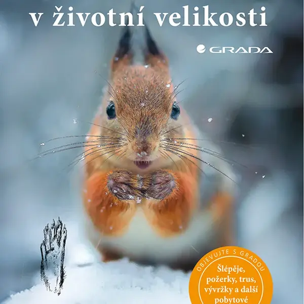 Kniha: Stopy zvířat v životní velikosti od Hecker Frank