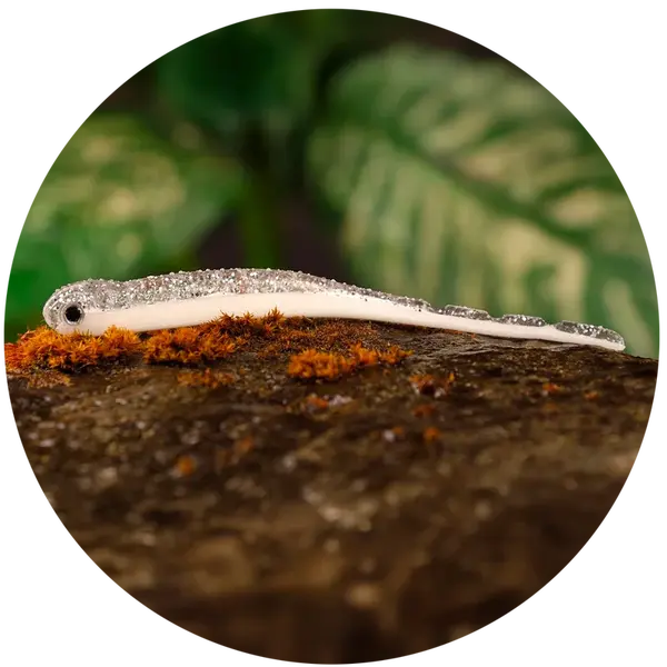 Redbass smáček big snake white g - 15,5 cm 11 g