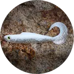 Redbass gumová nástraha twister kixter white g - 12,5 cm 14 g