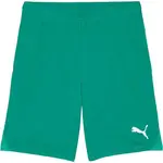 Puma TEAMGOAL SHORTS Pánské fotbalové šortky, zelená, velikost