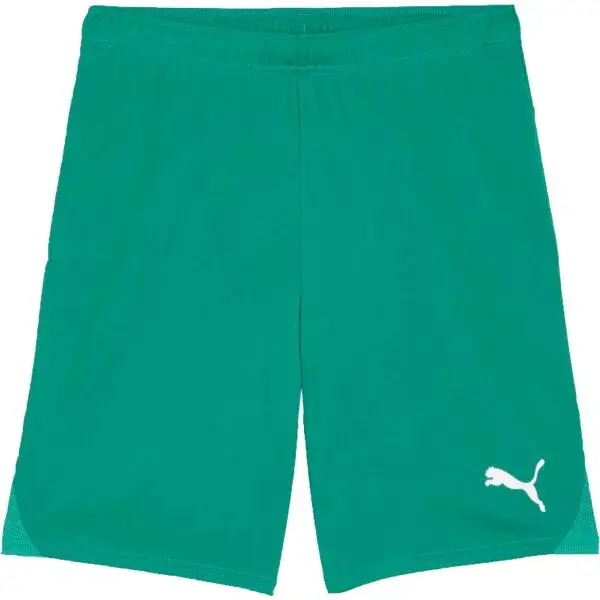 Puma TEAMGOAL SHORTS Pánské fotbalové šortky, zelená, velikost