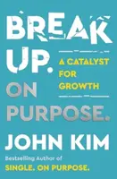 Break Up On Purpose - Kim John