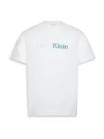 Calvin Klein Tričko  modrosivá / biela / šedobiela