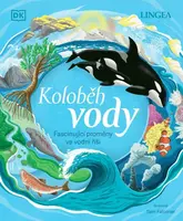 Koloběh vody - kolektiv autorů, Sam Falconer