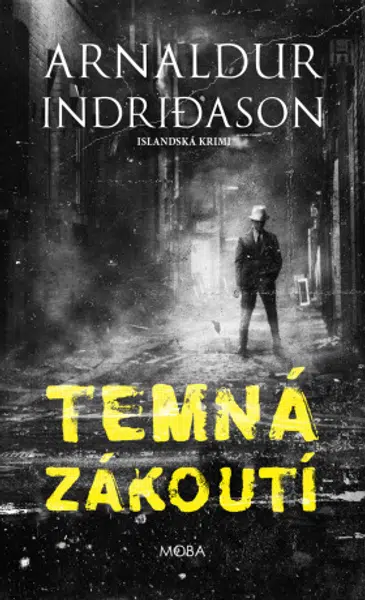 Temná zákoutí - Arnaldur Indridason - e-kniha