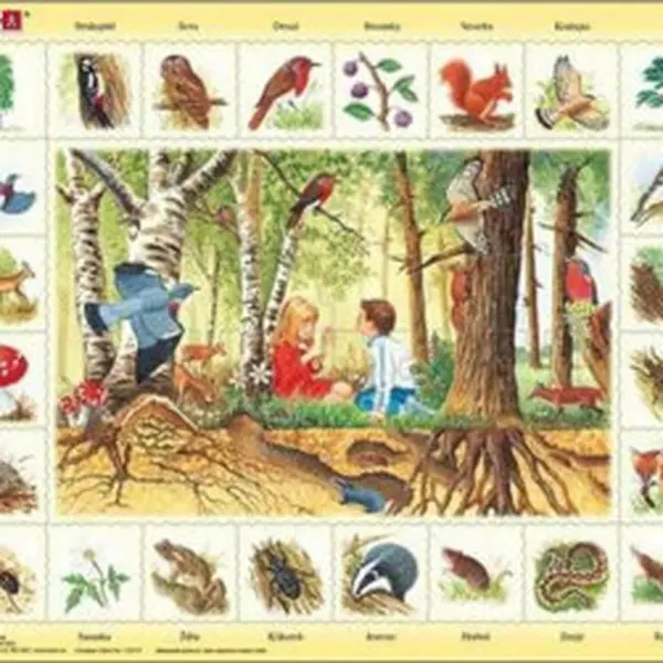 Puzzle MAXI - Život v lese/48 dílků
