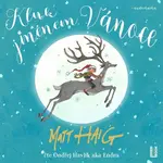 Kluk jménem Vánoce - Matt Haig - audiokniha
