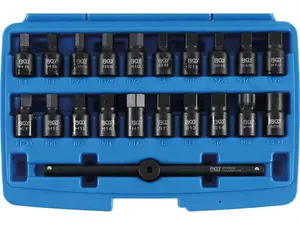 BGS Technic Hlavice BGS 1014 Zástrčné hlavice 3/8" na olejové vany (Sada 21 dílů)