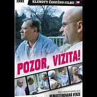 Různí interpreti – Pozor, vizita! DVD