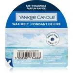 Yankee Candle Ocean Air vosk do aromalampy 22 g