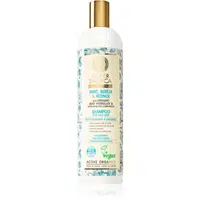 Natura Siberica Mint, Bereza & Retinol šampon pro mastné vlasy 400 ml