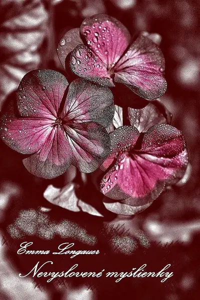 Nevyslovené myšlienky - Emma Longauer