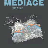 Mediace - Petr Bazger - e-kniha