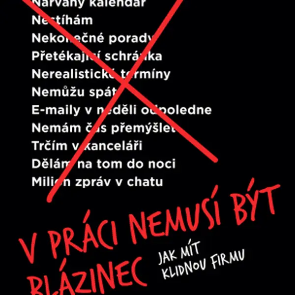 V práci nemusí být blázinec (Jak mít klidnou firmu) - Jason Fried, David Heinemeier Hansson