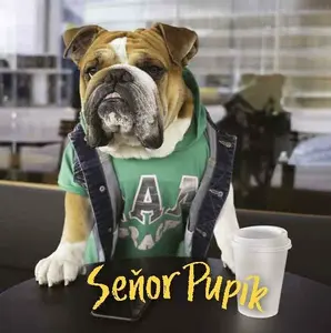 Seňor Pupík - James pan