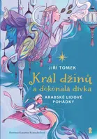 Král džinů a dokonalá dívka - Jiří Tomek