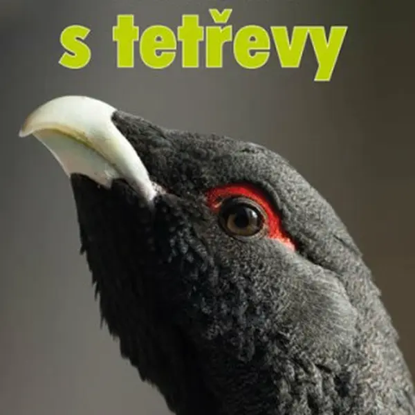 Loučení s tetřevy - Pavel Sztwiertnia