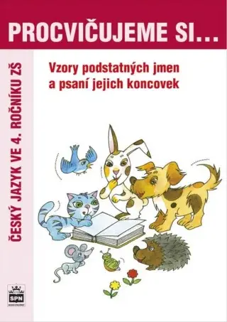 Procvičujeme si vzory a psaní koncovek podstatných jmen pro 4. r. ZŠ
