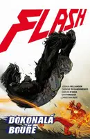 Flash 7 - Dokonalá bouře - Joshua Williamson, Carmine Di Giandomenico