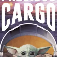 Plakát Star Wars: The Mandalorian - Precious Cargo