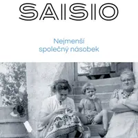 Nejmenší společný násobek - Pirkko Saisio - e-kniha
