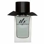 Burberry Mr. Burberry toaletná voda pre mužov 100 ml