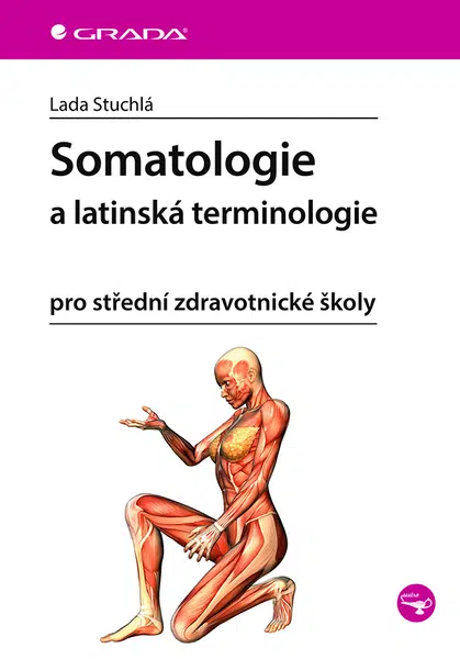 Somatologie a latinská terminologie, Stuchlá Lada