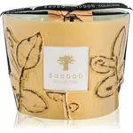 Baobab Collection Folia Garrigue vonná sviečka 10 cm