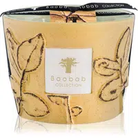 Baobab Collection Folia Garrigue vonná sviečka 10 cm