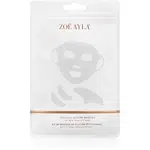 Zoë Ayla Reusable Silicone Mask Set sada pleťových masiek