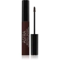 Astra Make-up Geisha Brows riasenka na obočie odtieň 03 Brown 5 ml