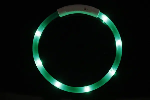 Reedog Easy Light USB nabíjací svietiaci obojok pre psy a mačky - zelená