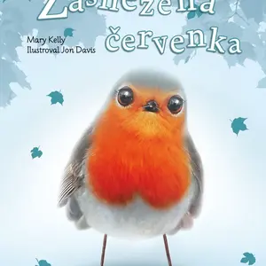 Příběhy se šťastným koncem Zasněžená červenka (9)