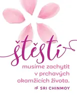 Magnet na lednici Štěstí musíme zachytit