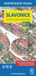 Slavonice historické centrum