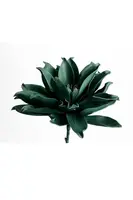 Umělé květiny home & lifestyle