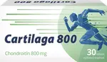 Cartilaga 800